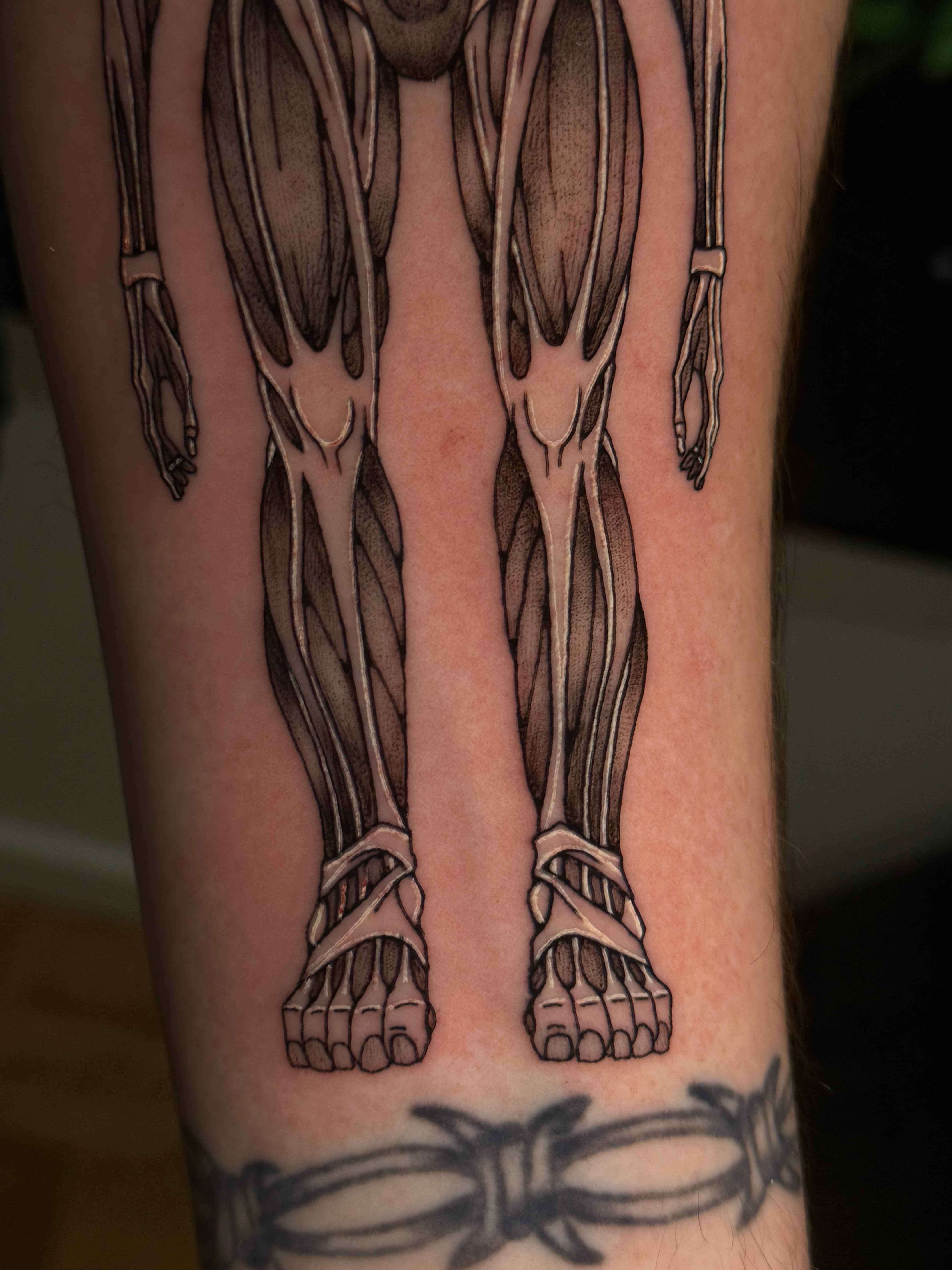 Colossal Titan